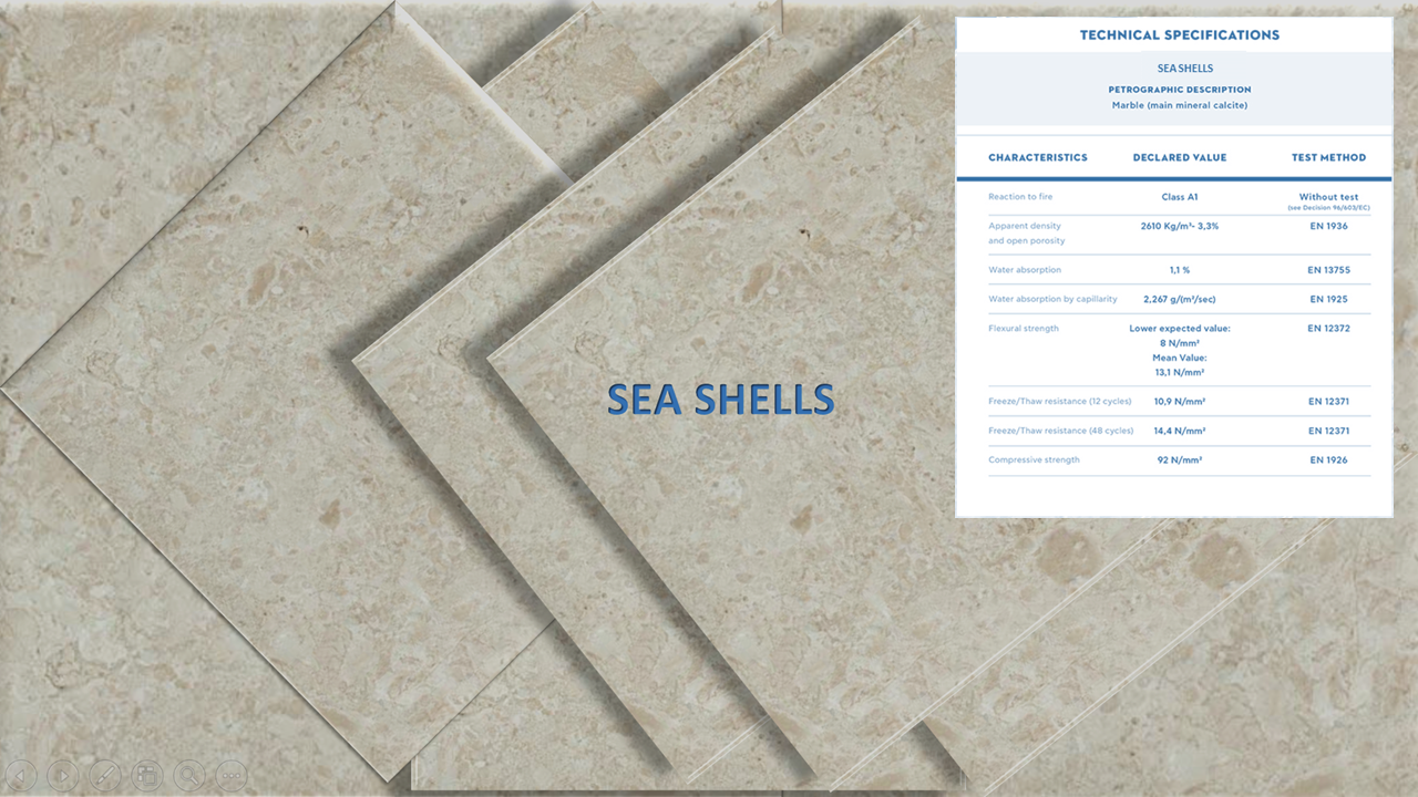 SEA SHELLS STONE