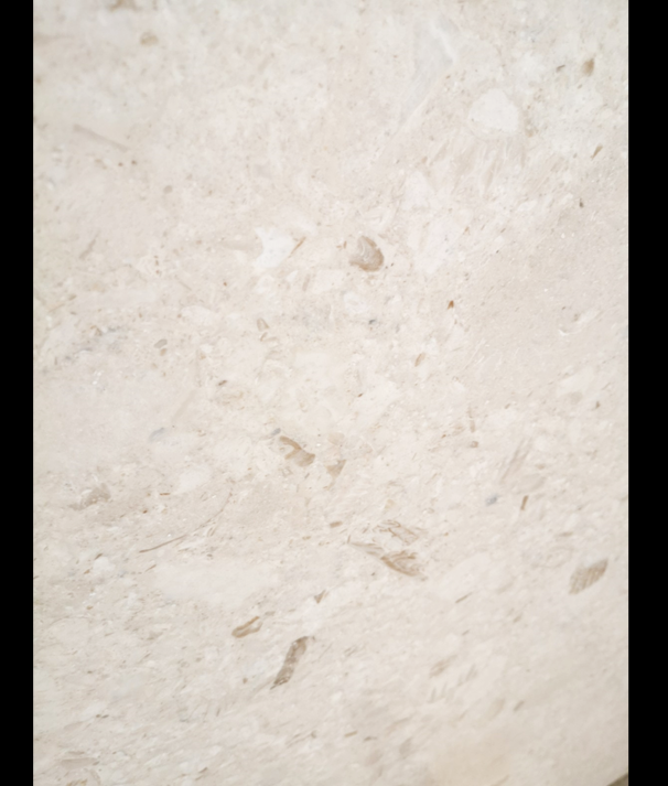 Seashell Beige marble Polished Slabs